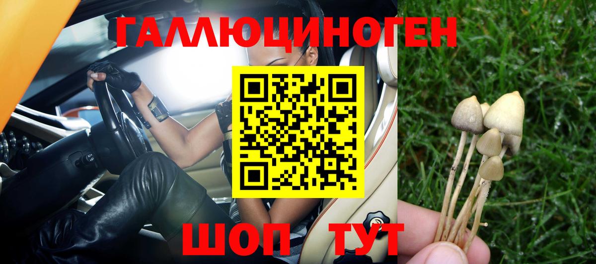 Галлюциногенные грибы прущие грибы Ахтубинск