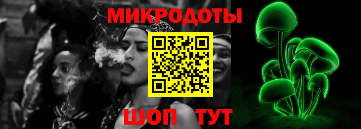 Ахтубинск  Галлюциногенные грибы Psilocybine cubensis  Вход с VPN 