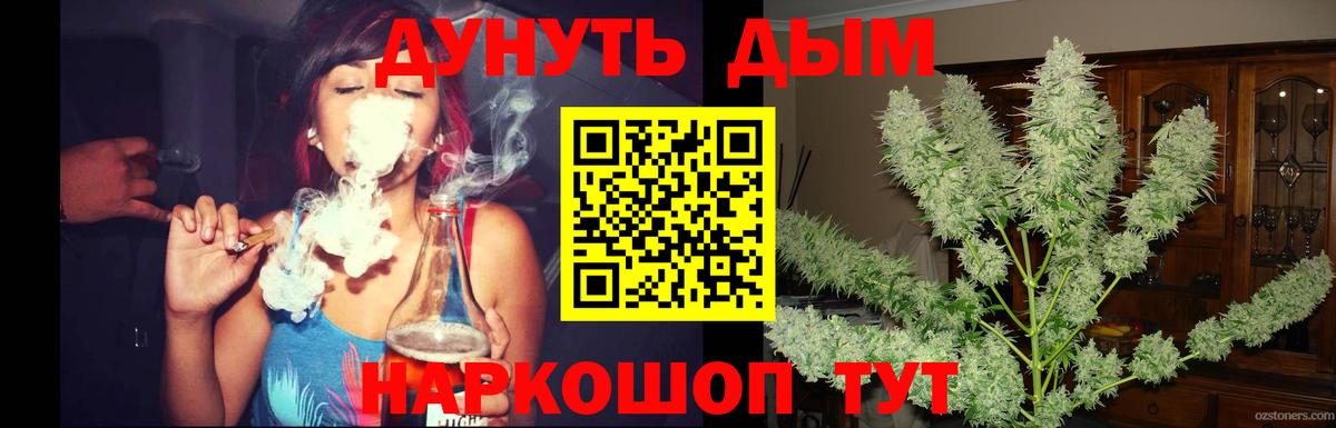Бошки Шишки Bruce Banner  Бошки Шишки THC 21%  Ахтубинск  Марихуана ГИДРОПОН  Вход с VPN 
